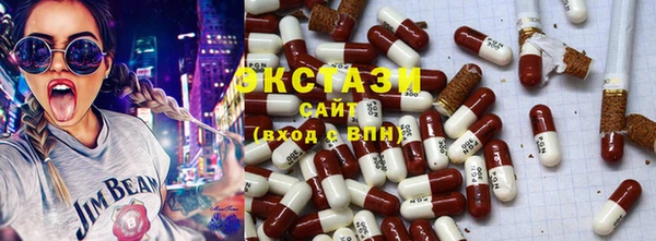 ECSTASY Богородицк