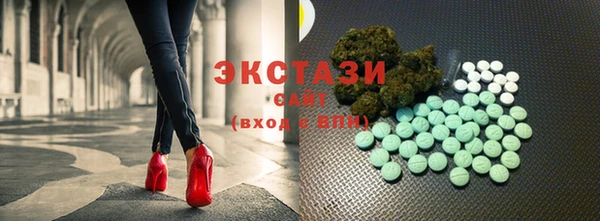 ECSTASY Богородицк